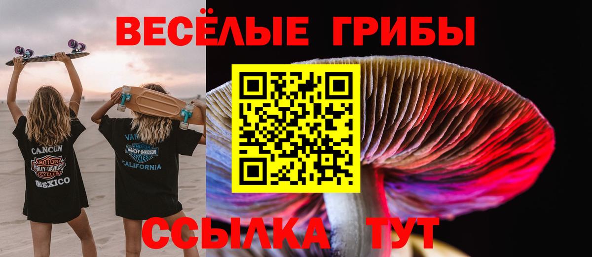Галлюциногенные грибы Magic Shrooms  Вход с VPN  Дятьково  Псилоцибиновые грибы GOLDEN TEACHER 